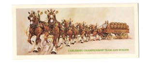 Carlsberg Beer Championship Team and Wagon Brochure, 8.5 X 11 inches Folded