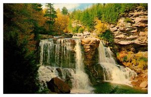 Postcard WATER SCENE Davis West Virginia WV AQ3482
