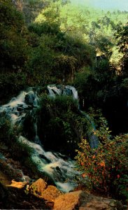 South Dakota Black Hills Spearfish Canyon Roughlock Falls