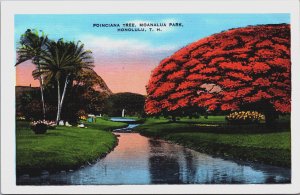 Hawaii Poinciana Tree Moanalua Park Honolulu Linen Postcard C178
