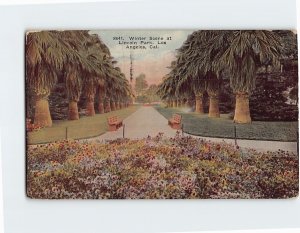 Postcard Winter Scene at Lincoln Park Los Angeles California USA