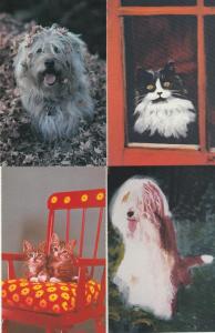 (4 cards) Sheepish Pets Sheep Dog Cats - North Shore Animal League