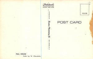 Full House Cat Postcard