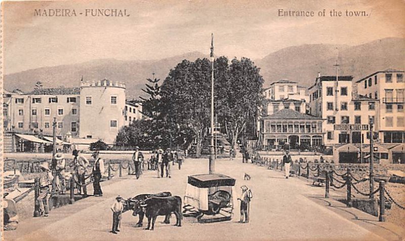 Entrance to the Town Madeira Spain Unused 