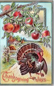 Postcard Thanksgiving Joys Turkey Farm Apple Tree Branch Q6