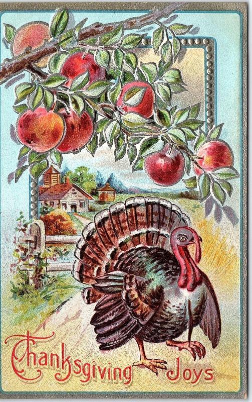 Postcard Thanksgiving Joys Turkey Farm Apple Tree Branch Q6