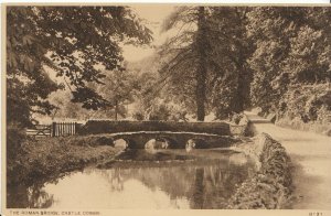 Wiltshire Postcard - The Roman Bridge - Castle Combe    A9939