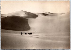 Collection Saharienne Dans L'Immensite Des Sables Real Photo RPPC Postcard