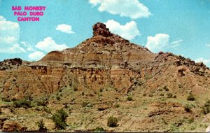 Texas Palo Duro Canyon Rock Formation Sad Monkey Near Amarillo 1975