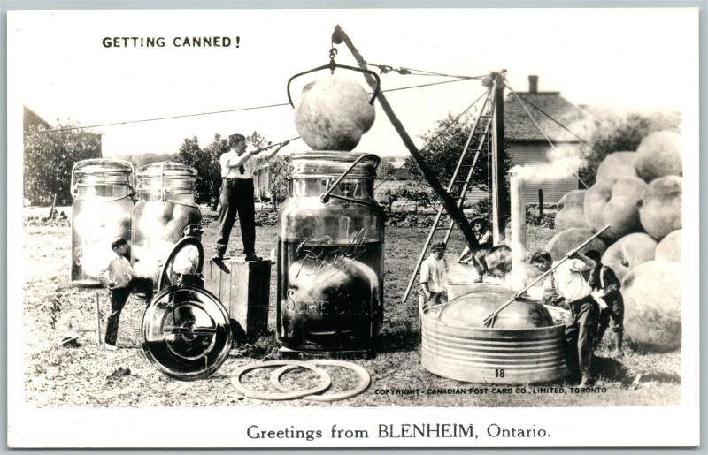 BLENHEIM ONTARIO CANADA EXAGGERATED CANNED FRUITS VINTAGE REAL PHOTO PC RPPC