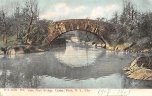 BR44314 Vine arch bridge central park N Y usa