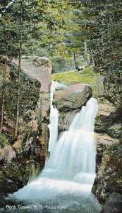 NH - North Conway, Artist's Falls