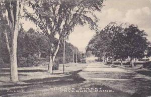 Maine Fryeburg Village Street 1913