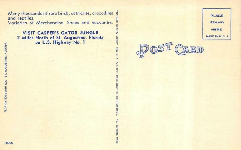 ST AUGUSTINE, FL Florida CASPER'S GATOR JUNGLE Man & Alligator  c1940's Postcard