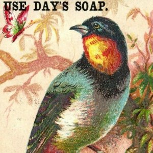1880s The Philada. Steam Soap Works Day's Soap Wild Birds Image Lot Of 4 P213
