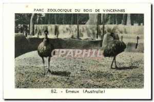 Image Zoo de Vincennes wood emeux Australia Australia