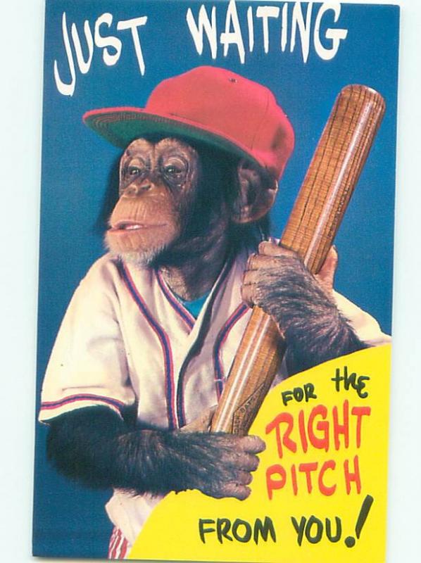 Pre-1980 MONKEY HOLDING BASEBALL BAT AC7082