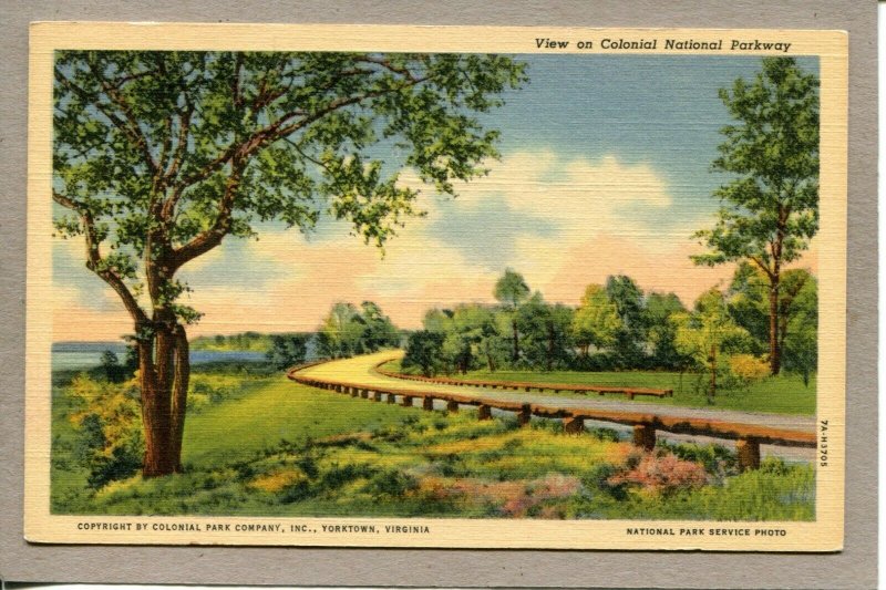  Postcard VA Colonial National Parkway Highway Scene Linen -016