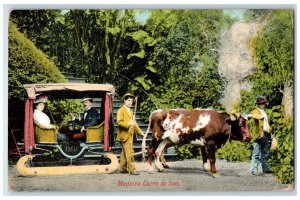 c1910 Horse Carriage Madeira Carro De Bois Portugal Antique Posted Postcard