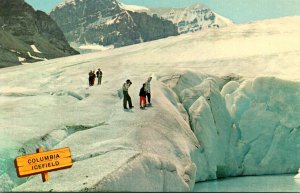 Canada Alberta Canadian Rockies Columbia Icefield