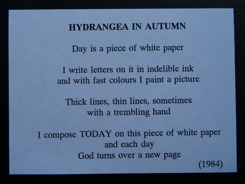 AUTUMN HYDRANGEA Paintings Poems by Japanese Disabled Artist Tomihiro Hoshino PC 