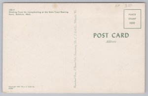 State View~Grading Trout @ State Trout Rearing Farm Baldwin MI~Vintage Postcard