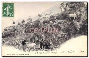 Old Postcard Chevre Return of pasture