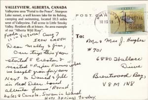 Valleyview Alberta AB Sturgeon Lake Sunset Wild Rose Little Smoky Postcard D55