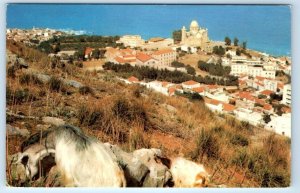 ALGER Notre Dame d'Afrique ALGERIA Postcard