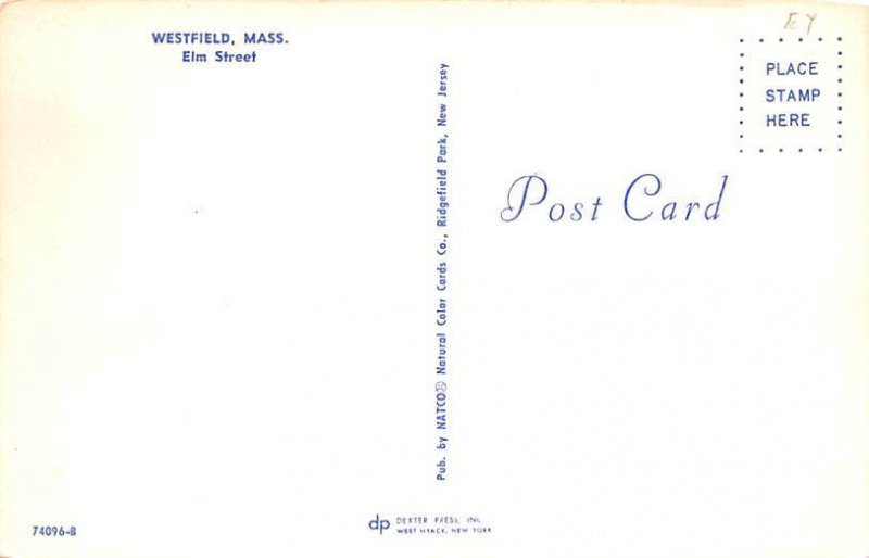 Elm Street Westfield, Massachusetts MA Postcard