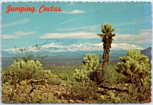 M-87290 Jumping Cactus Arizona