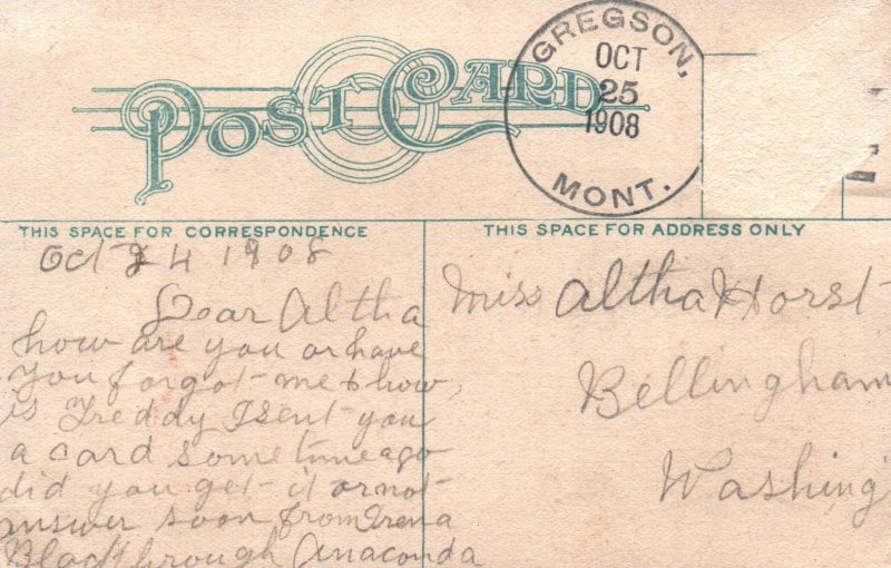 Butte, Montana Hennessy's Big Store Grocery & Food Market in 1908 United States