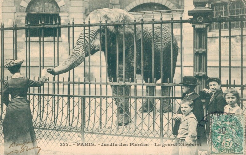 France Paris Jardin des Plantes Le Grand Elephant Zoo  06.55