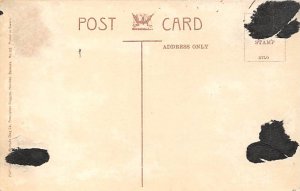 The Novel Flower Garden Bermuda Postcard