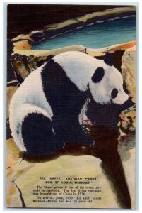 c1940's See Happy The Giant Panda Zoo St. Louis Missouri MO Unposted Postcard