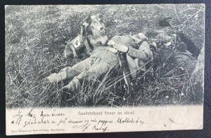 Mint Sweden Real Picture Postcard sanitary dog finds a wounded