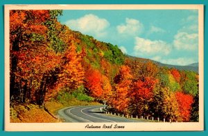 Autumn Road Scene - [MX-743]