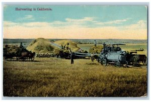 Selma California Postcard Harvesting Farming Field Exterior 1910 Vintage Antique