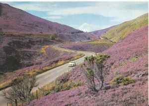 Scotland Postcard - The Slochd Pass - Inverness-shire - Ref TZ8422