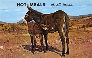 Hot Meals Donkey 