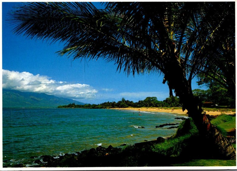 Hawaii Maui Kihei Kamoale Beach Park