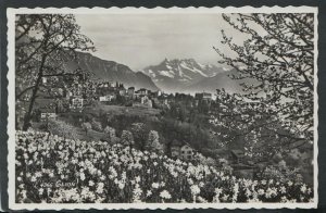 Switzerland Postcard - View of Glion,  Montreux, Vaud    RS14442