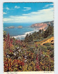 Postcard Oregon Coast Boardman State Park USA North America