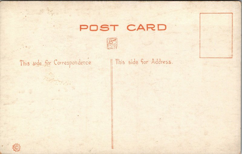 Vtg 1915 Knights of Pythias Encampment Pennant Flag Columbus Ohio OH Postcard