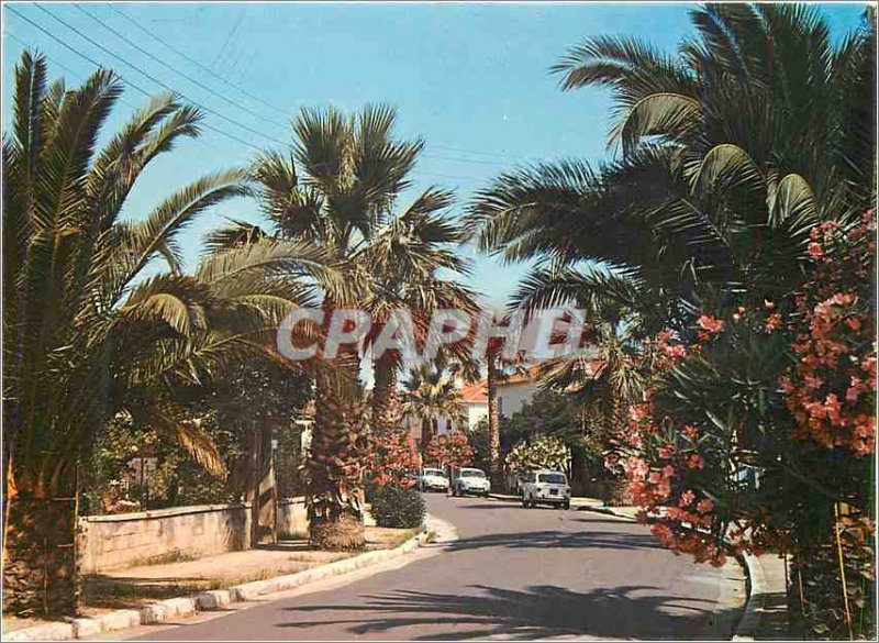 Modern Postcard Hyeres les Palmiers Flowery street