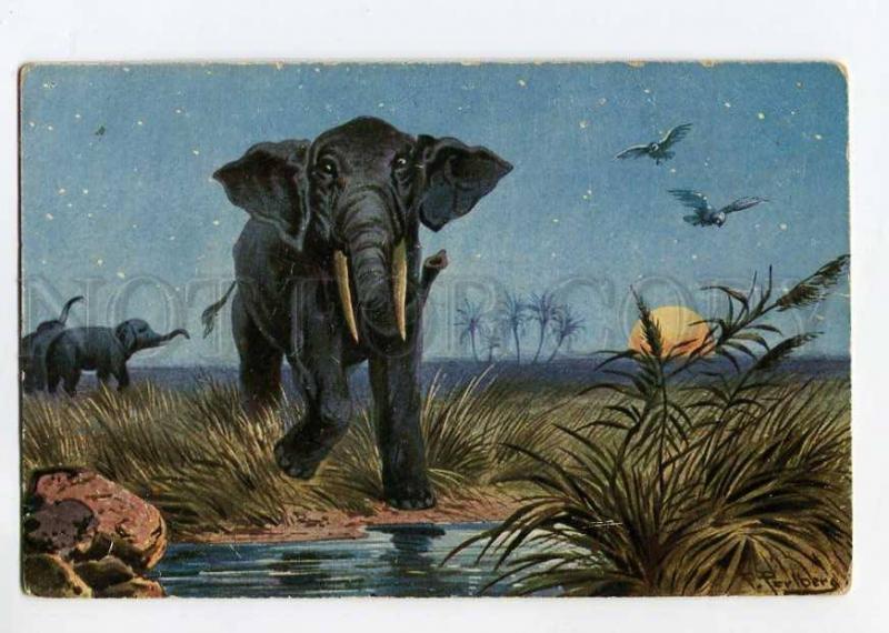 264603 ELEPHANT Night MOON by PERLBERG Vintage postcard