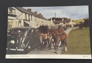 DARTMOOR PONIES IN PRINCETOWN colour postcard