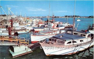 Pleasure Craft - Newport Harbor, CA