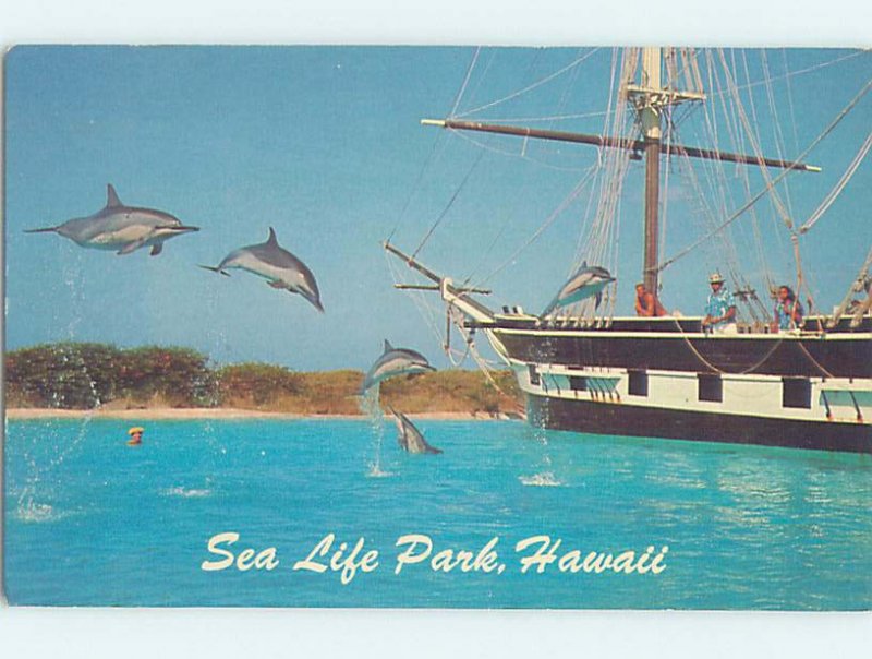 Pre-1980 PORPOISE JUMP Waimanalo At Makapuu Point by Hanauma Bay Oahu HI AD6017