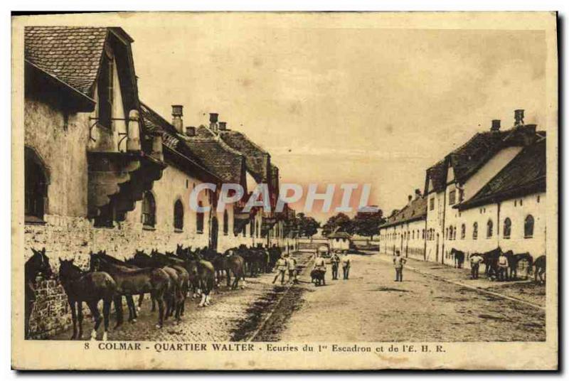 Vintage Postcard Horse Horsemanship Equestrian sports Colmar